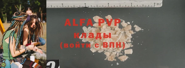 гашик Арсеньев
