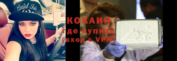 гашик Арсеньев