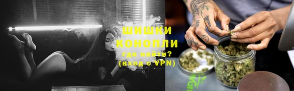 гашик Арсеньев